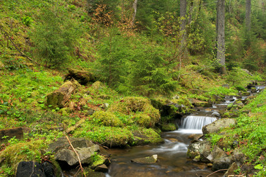 Similar image 690836