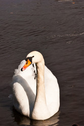 Similar image 690840