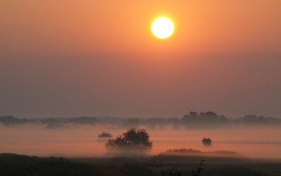 Similar image 690858