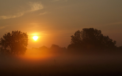 Similar image 690859