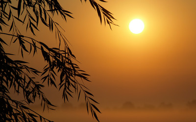 Similar image 690861