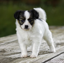 Similar image 690943