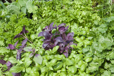 Similar image 690990