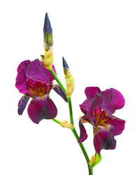 Similar image 690994