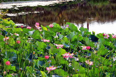 Similar image 690996