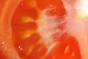 Similar image 691038