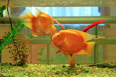 Similar image 691076