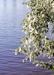 Similar image 691136