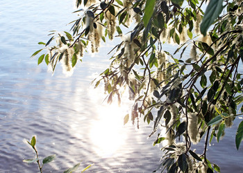 Similar image 691141