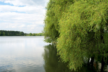 Similar image 691178