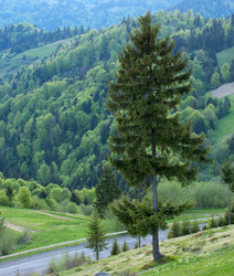 Similar image 691179