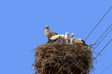 Similar image 691338