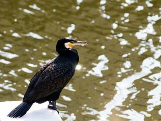 Similar image 691345