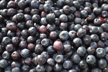 Similar image 691397