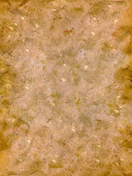 Similar image 691410