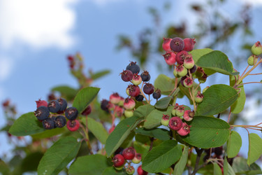 Similar image 691411