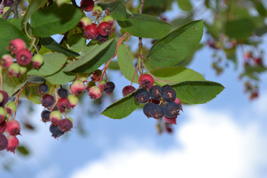 Similar image 691417