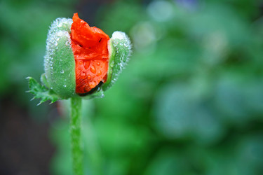 Similar image 691513