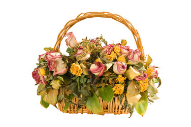 Similar image 691703