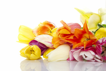 Similar image 691834