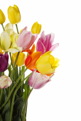 Similar image 691837