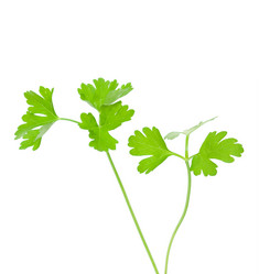 Similar image 691851