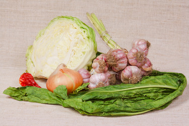 Similar image 691882