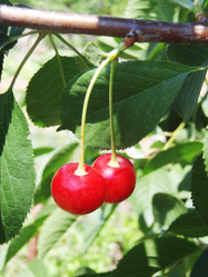 Similar image 691886