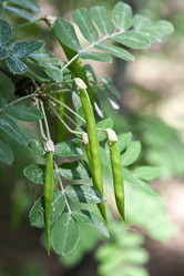 Similar image 691889