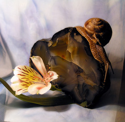 Similar image 691892