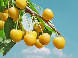 Similar image 691915