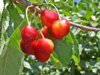 Similar image 691927