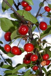 Similar image 692018