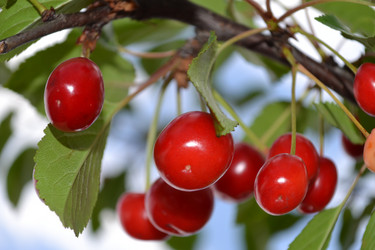 Similar image 692019