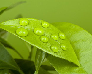 Similar image 692105