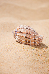 Similar image 692307