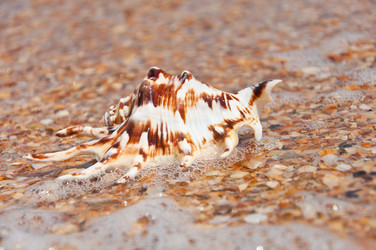 Similar image 692308