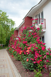 Similar image 692314