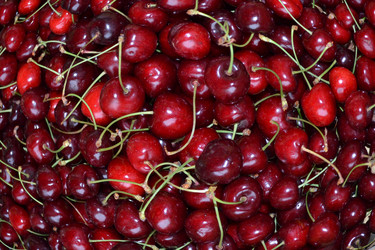 Similar image 692327