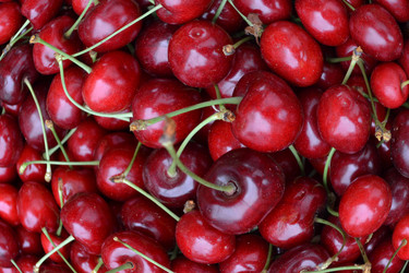 Similar image 692329