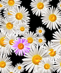 Similar image 692334