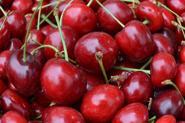 Similar image 692336