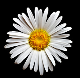 Similar image 692341