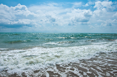 Similar image 692429