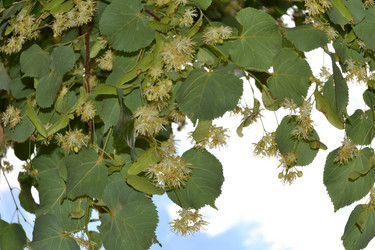 Similar image 692443