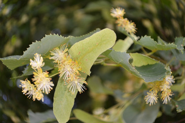 Similar image 692493