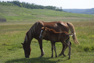 Similar image 692499