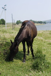 Similar image 692500