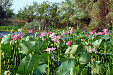 Similar image 692539