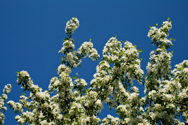 Similar image 692555